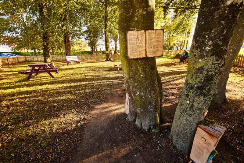 Woodford Dolmen Hotel Carlow Eksteriør bilde